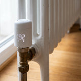 Smart Zigbee Thermostat